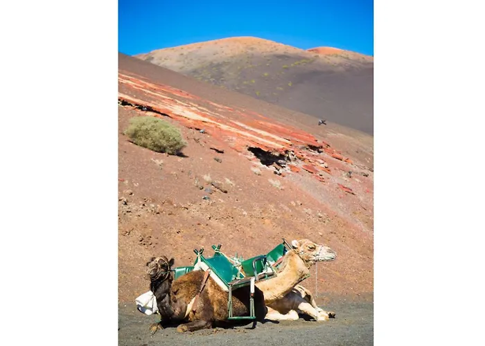 Vila Candela Puerto del Carmen (Lanzarote)